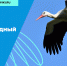 Способы отметить Международный день птиц - Урмарский район